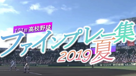 新奥2024年免费资料大全,最佳精选解释落实