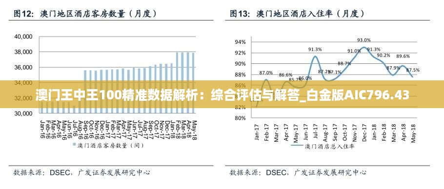 澳门王中王100%正确答案最新章节,精选解释解析落实