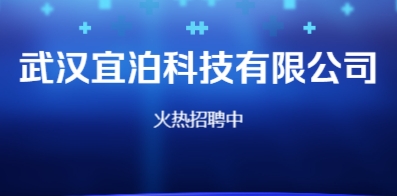 武汉会计招聘，探索与机遇在58同城网